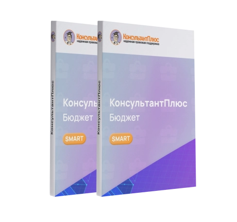 Консультант Бюджетные организации смарт-комплект Проф