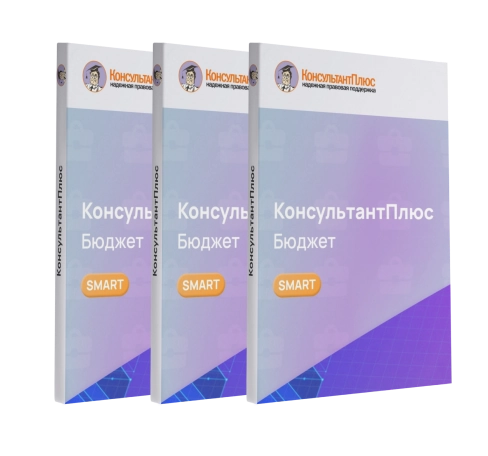 Консультант Бюджетные организации смарт-комплект Эксперт